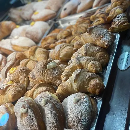 بيت ضيافة 