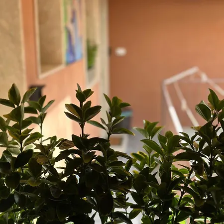 Le Luxury Siracusa Syracuse